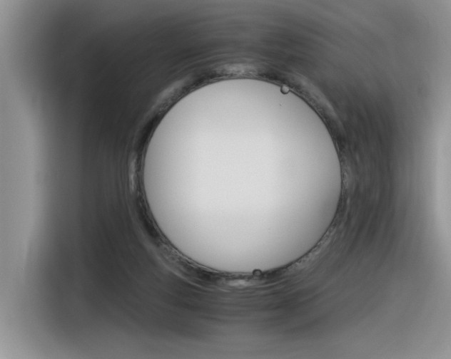 X0000116390163200912021013