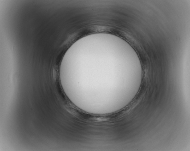 X0000116390165200912021013