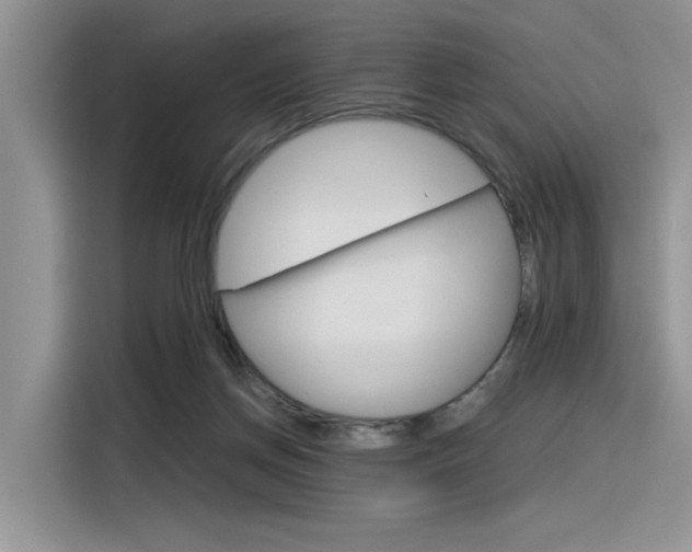 X0000116390166200912021013