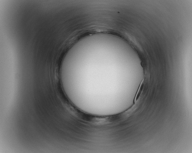 X0000116390170200912021013