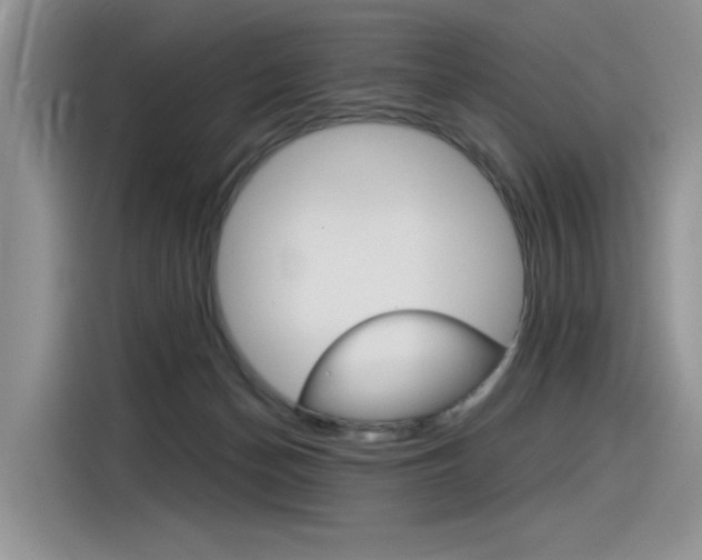 X0000116390174200912021013