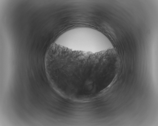 X0000116390179200912021013
