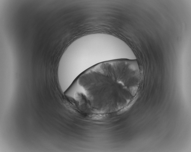 X0000116390182200912021013