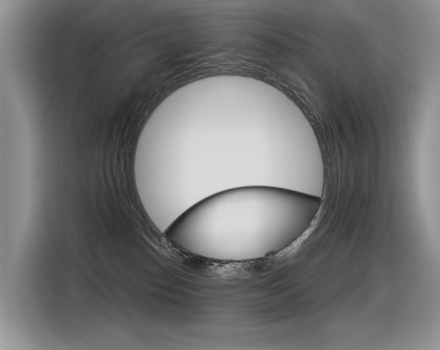 X0000116390186200912021013