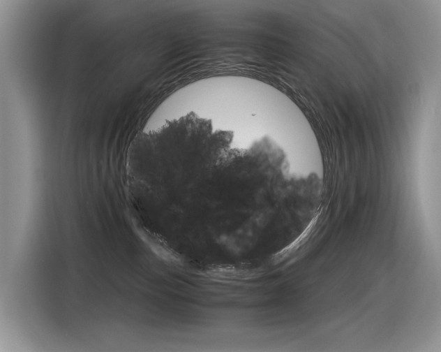 X0000116390187200912021013