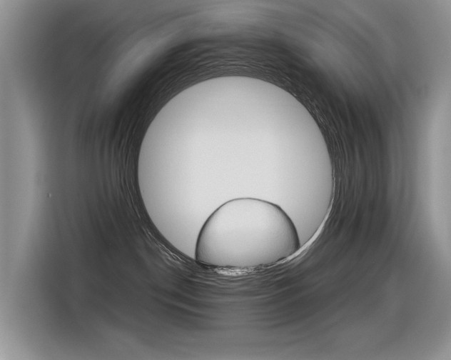 X0000116390190200912021013
