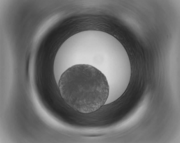 X0000116390191200912021013