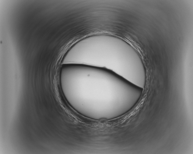 X0000116390193200912021013