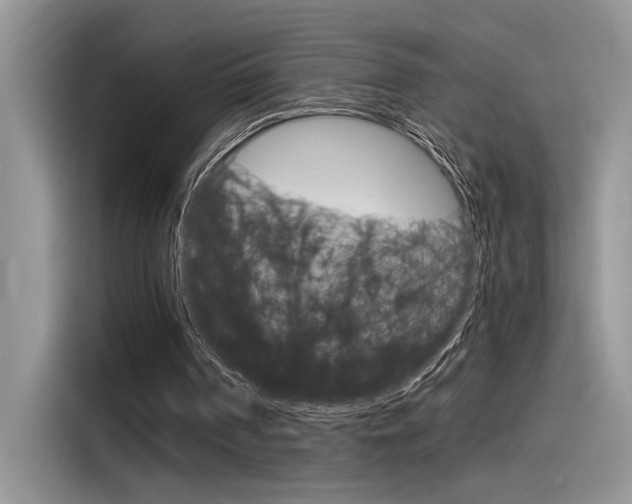 X0000116390194200912021013
