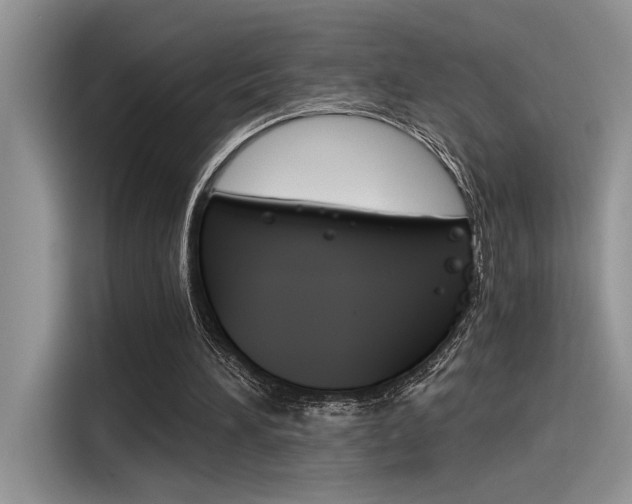 X0000116390196200912021013