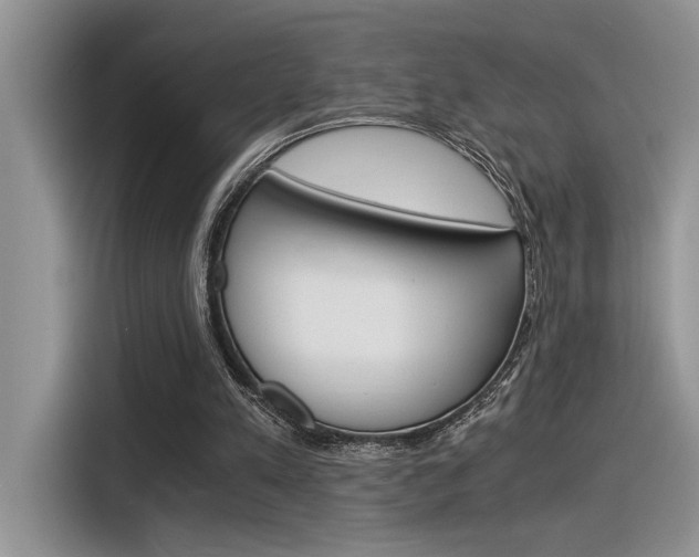 X0000116390197200912021013