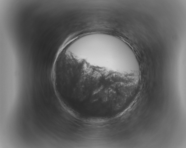 X0000116390198200912021013