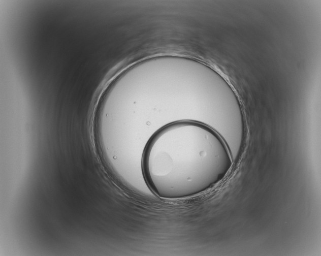 X0000116390199200912021013