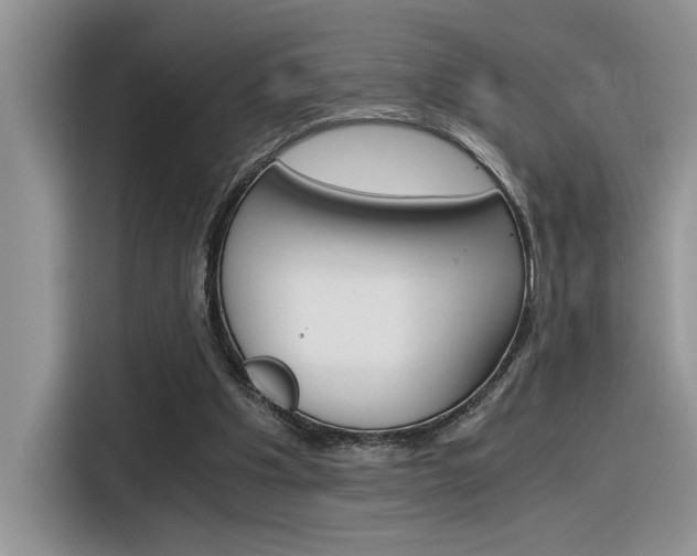 X0000116390201200912021013