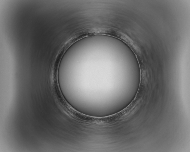 X0000116390203200912021013