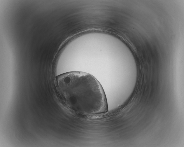 X0000116390204200912021012