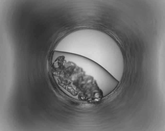 X0000116390205200912021012