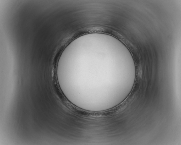 X0000116390206200912021012