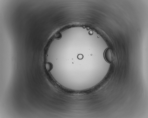 X0000116390208200912021012