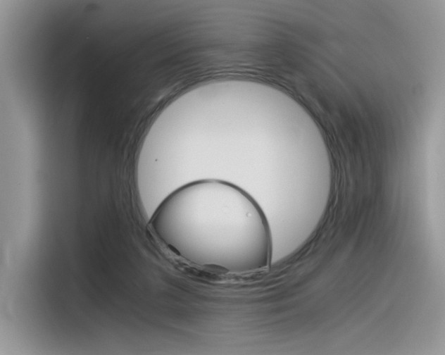 X0000116390211200912021012