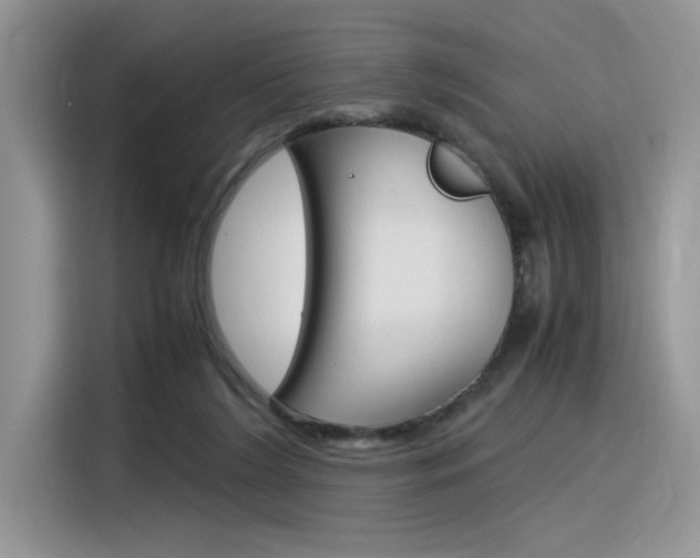 X0000116390212200912021012