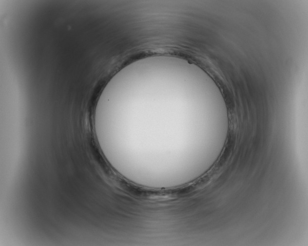 X0000116390213200912021012