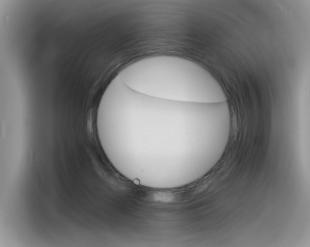 X0000116390214200912021012
