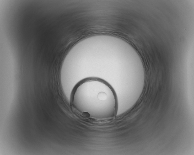 X0000116390215200912021012