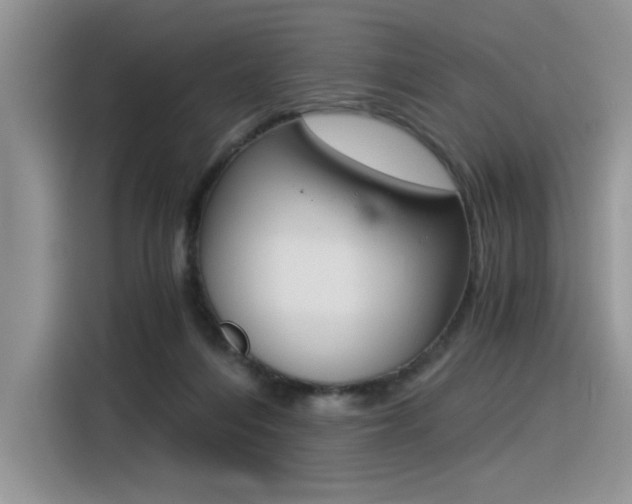 X0000116390216200912021012