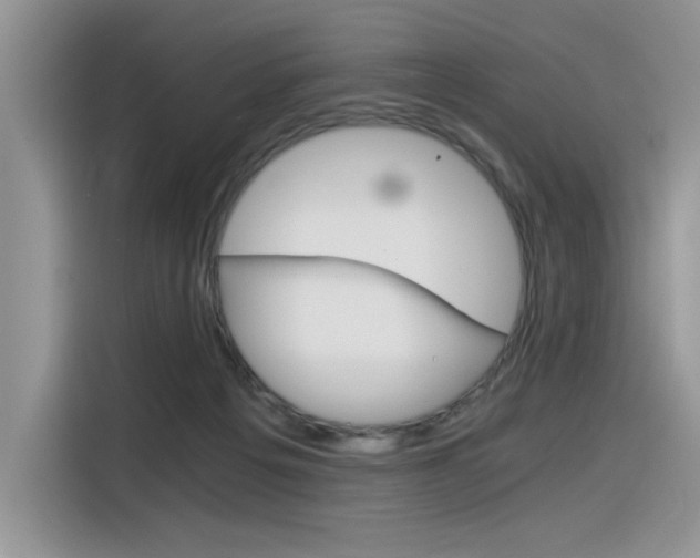 X0000116390217200912021012