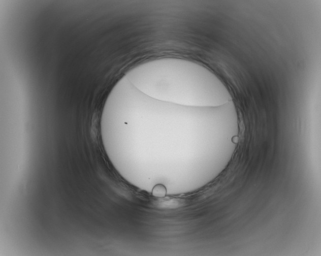 X0000116390218200912021012