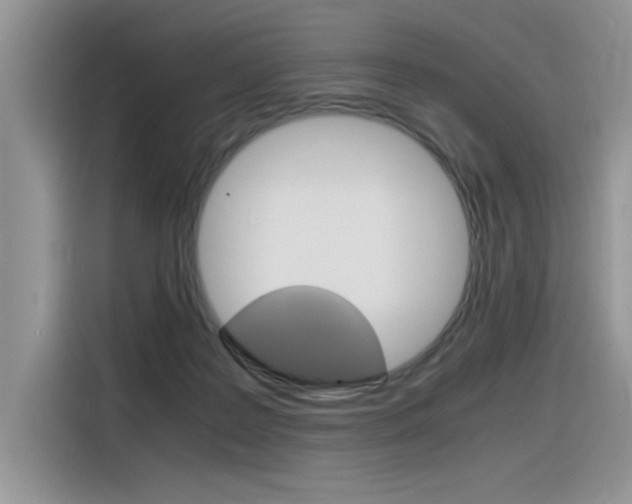 X0000116390219200912021012