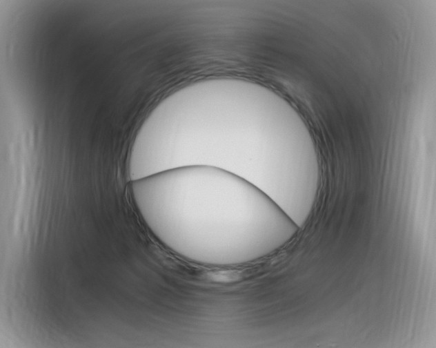 X0000116390221200912021012