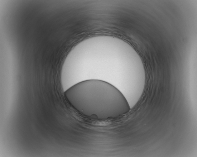 X0000116390223200912021012