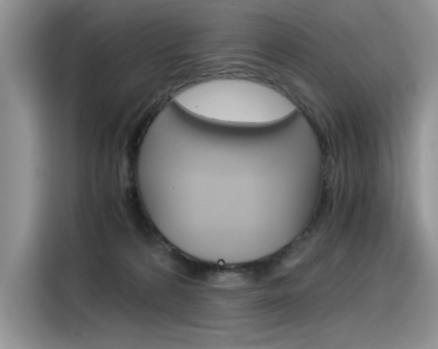 X0000116390224200912021012