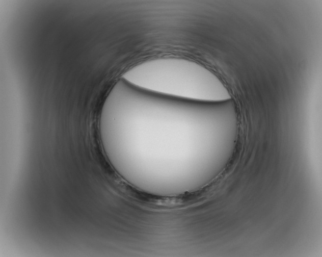 X0000116390225200912021012