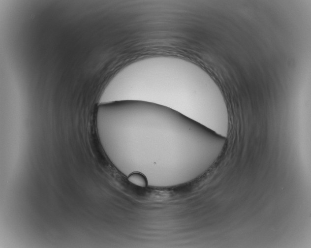 X0000116390227200912021012