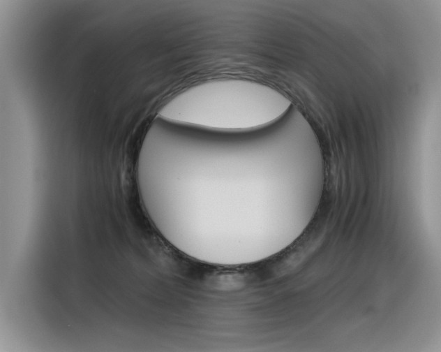 X0000116390228200912021012