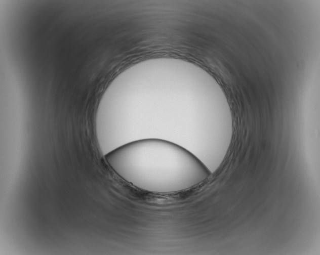 X0000116390229200912021012
