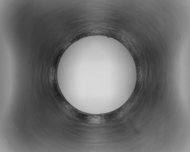 X0000116390230200912021012