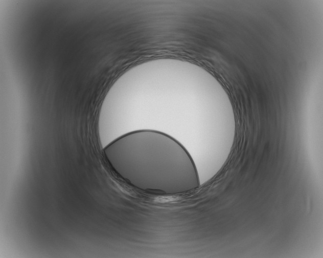 X0000116390231200912021012