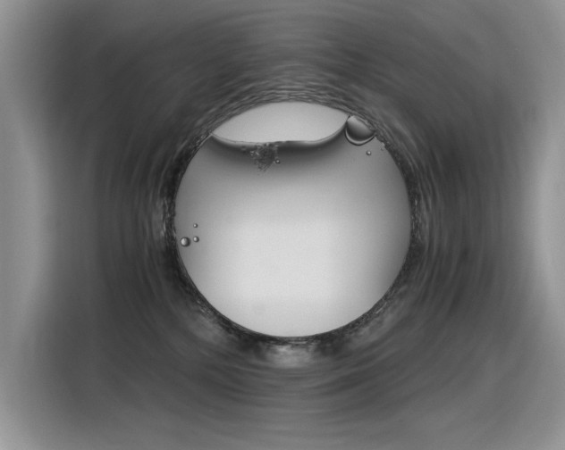 X0000116390232200912021012