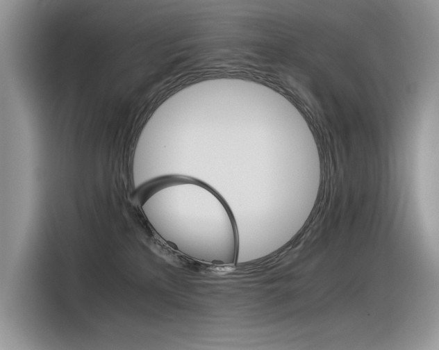 X0000116390233200912021012