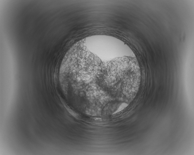 X0000116390234200912021012