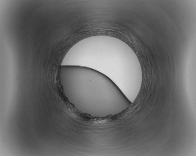 X0000116390235200912021012