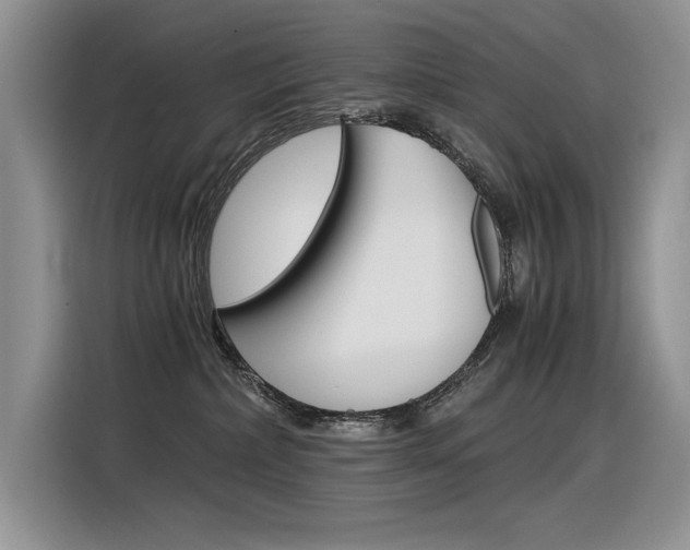 X0000116390236200912021012