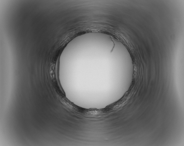 X0000116390237200912021012