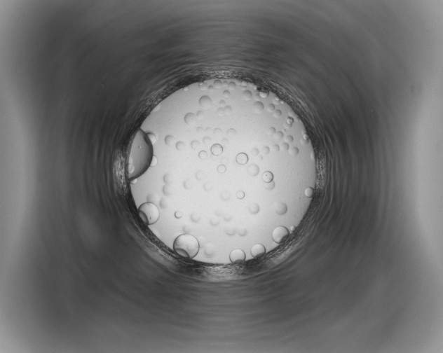 X0000116390238200912021012
