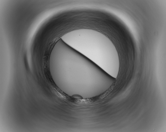 X0000116390239200912021012