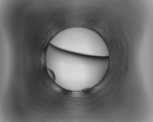 X0000116390240200912021012